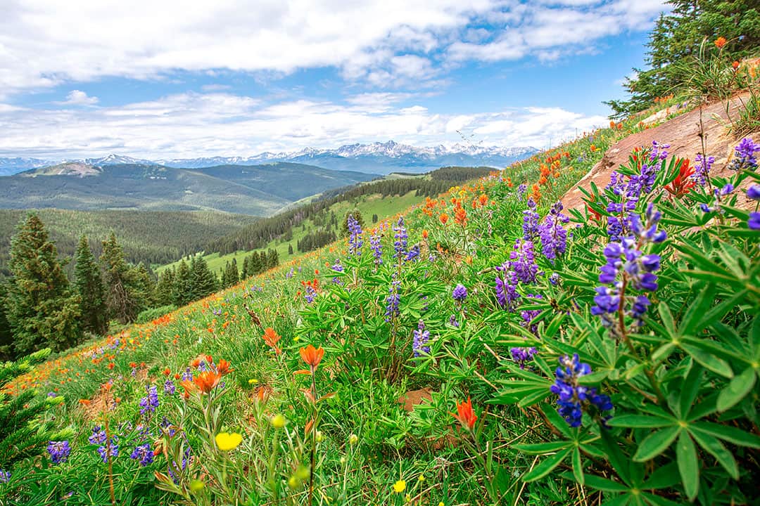 15 Best Places to Visit in July in USA 2023 » Local Adventurer