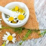 8 surprising benefits of chamomile for the skin ⋆ BeautyNews