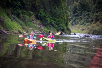 Can you explore New Zealand without a driving licence?