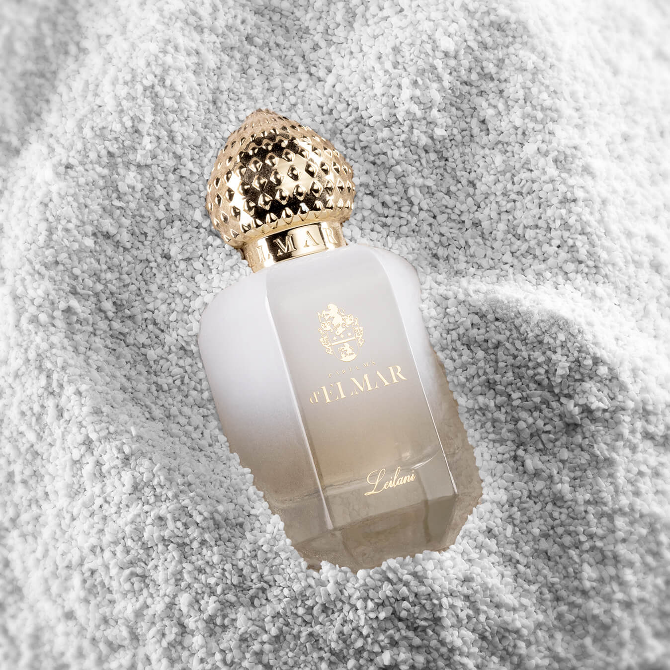 Parfums d‘Elmar, An Enigmatic Experience of Elegance