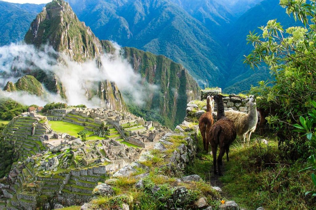 Peru Scraps All Covid- Entry Restrictions After 2.5 Years 