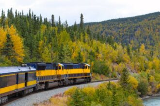 These 6 scenic train rides in the US offer the best fall views this year