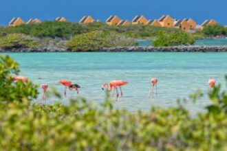 This Underrated Caribbean Island Continues To Surpass Pre-Pandemic Tourism Levels