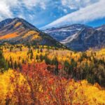 Best Places To Visit In The U.S. In November