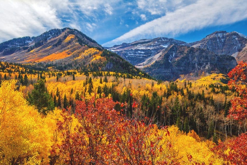 21 Best Places to Visit in USA in November 2023