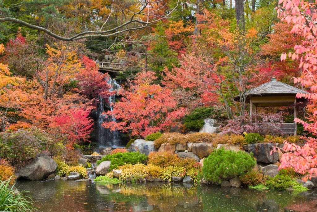 8 Best Places to Visit in Illinois in the 2023 Fall Season