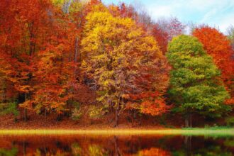 This US national park is a hidden gem for seeing autumn leaves