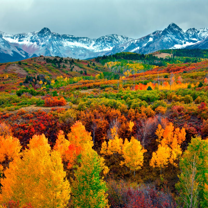 4 reasons why you should visit this beautiful American state this fall