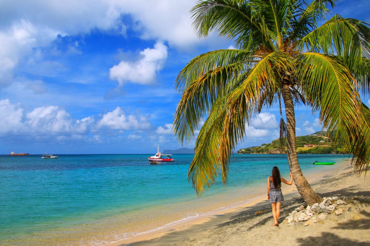 Young woman standing by a palm tree at the beach, Hillsborough Bay, Carriacou Island, Grenada