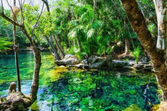 New nature reserve for tourists coming to the Mexican Caribbean