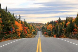 Ontario’s TOP 3 Scenic Fall Road Trips for Spectacular Foliage