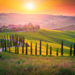 A Drive Lined By Cypress Trees In The Tuscan Countryside, Tuscany, Italy, Southern Europe