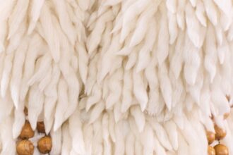 The Best Vogue Runway Detail Images of 2024