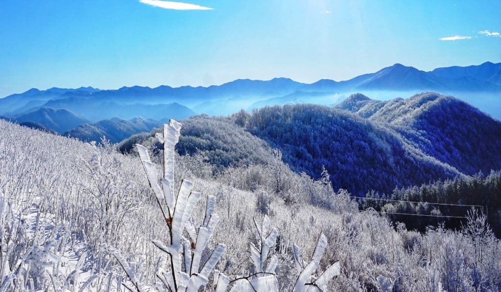 10 Best Places to Visit This Winter in the State of Virginia