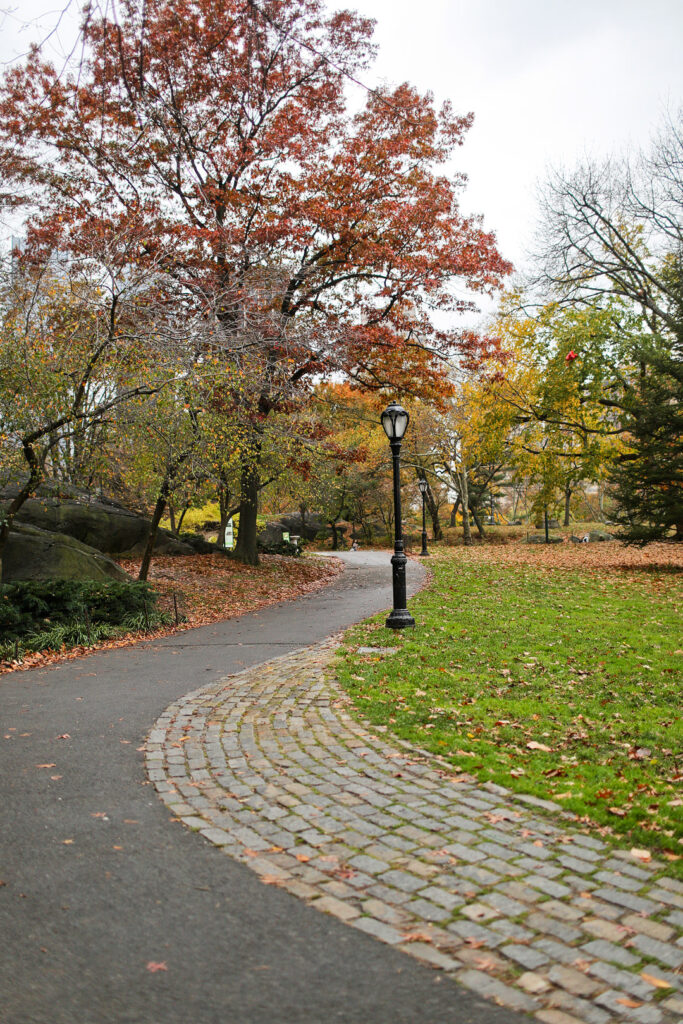 17 Beautiful Road Trip Destinations for the Best Fall Foliage in the US