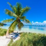 21 beste plaatsen om te bezoeken in FLORIDA in februari 2024