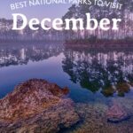 9 Best National Parks to Visit in December » Local Adventurer