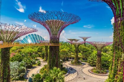 Singapore Issues Travel Advisory And Reinstates Mask Mandates Covid Outbreak