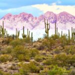 10 Best Places to Visit This Winter in the State of Arizona