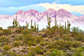 10 Best Places to Visit This Winter in the State of Arizona