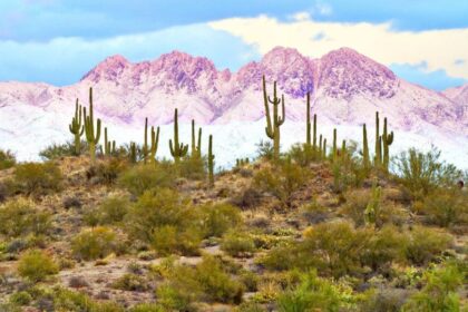 10 Best Places to Visit This Winter in the State of Arizona