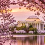 Best Places To Travel In The US in March