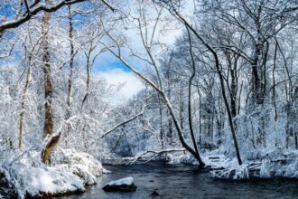 10 Best Places to Visit This Winter in the State of Tennessee