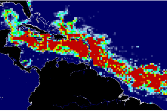 New record-sized Sargassum threatens to invade Florida and the Caribbean soon