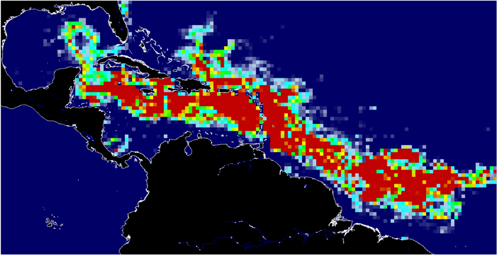 New record-sized Sargassum threatens to invade Florida and the Caribbean soon