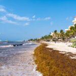 These 3 destinations could soon see record-breaking Sargassum beaches