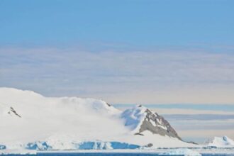 15 Epic Things to Do in Antarctica Travel Guide » Local adventurer