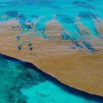 Dominican Republic Government And Universities Join Efforts To Reduce Sargassum
