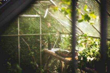 The 3 essential tips for using a greenhouse for your garden