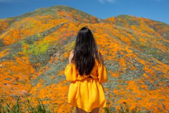 These are the best national parks for your chance to see the spring superbloom