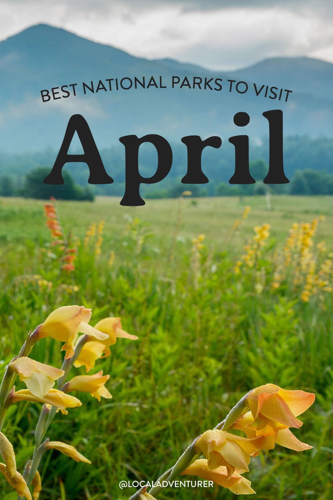 11 Best National Parks to Visit in April » Local Adventurer