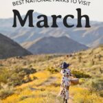 7 Best National Parks to Visit in March » Local Adventurer