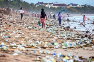 Photos of Bali beach buried under tonnes of rubbish are going viral