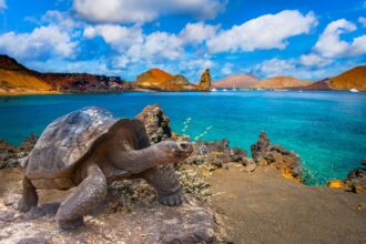 The Galapagos Islands will dramatically increase entry fees for the first time in 25 years