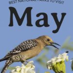 best national parks to visit in may