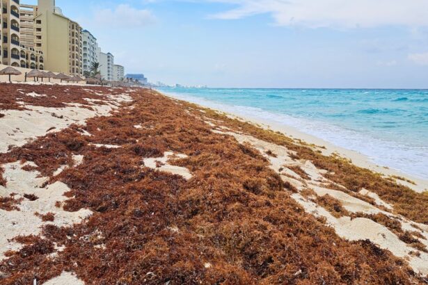 Cancun Resorts Brace For Massive Sargassum Seaweed Influx