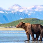 Google Reveals TOP 5 ‘Hidden Gem’ US National Parks to Visit in 2024