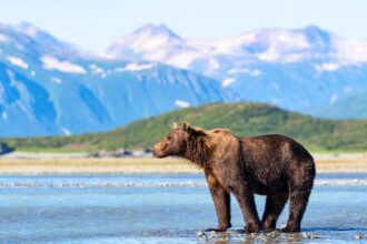 Google Reveals TOP 5 ‘Hidden Gem’ US National Parks to Visit in 2024