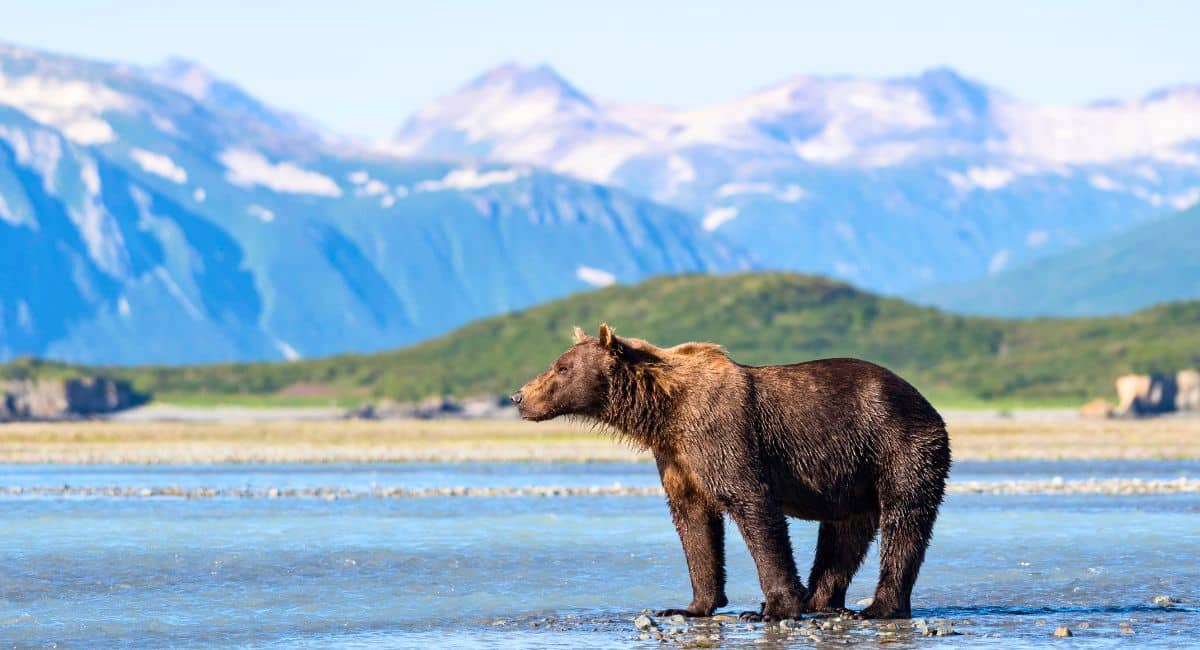 Google Reveals TOP 5 ‘Hidden Gem’ US National Parks to Visit in 2024