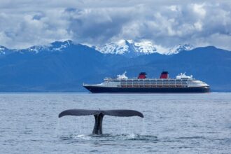 I took a cruise to Alaska and these were the six mistakes beginners made