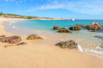 The 5 Best Swimming Beaches in Los Cabos in Spring 2024