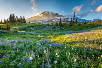 These are the 11 national parks for which you need a reservation this summer