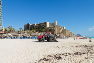 Will there be no more Sargassum on the beaches of Cancun by 2024?