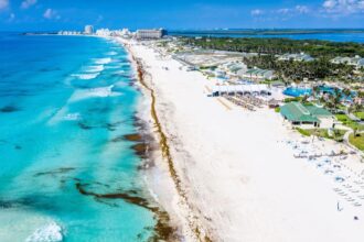 Cancun will receive thousands of tons of sargassum in the coming weeks, authorities warn