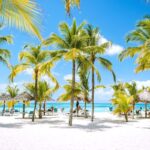 6 Best Caribbean Islands To Visit In June 2024 (Without Seaweed)