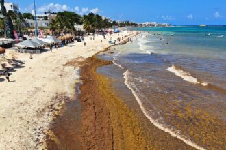 These 6 Caribbean travel destinations for record seaweed invasion in summer 2024